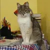 Отзыв от Лада Блинова